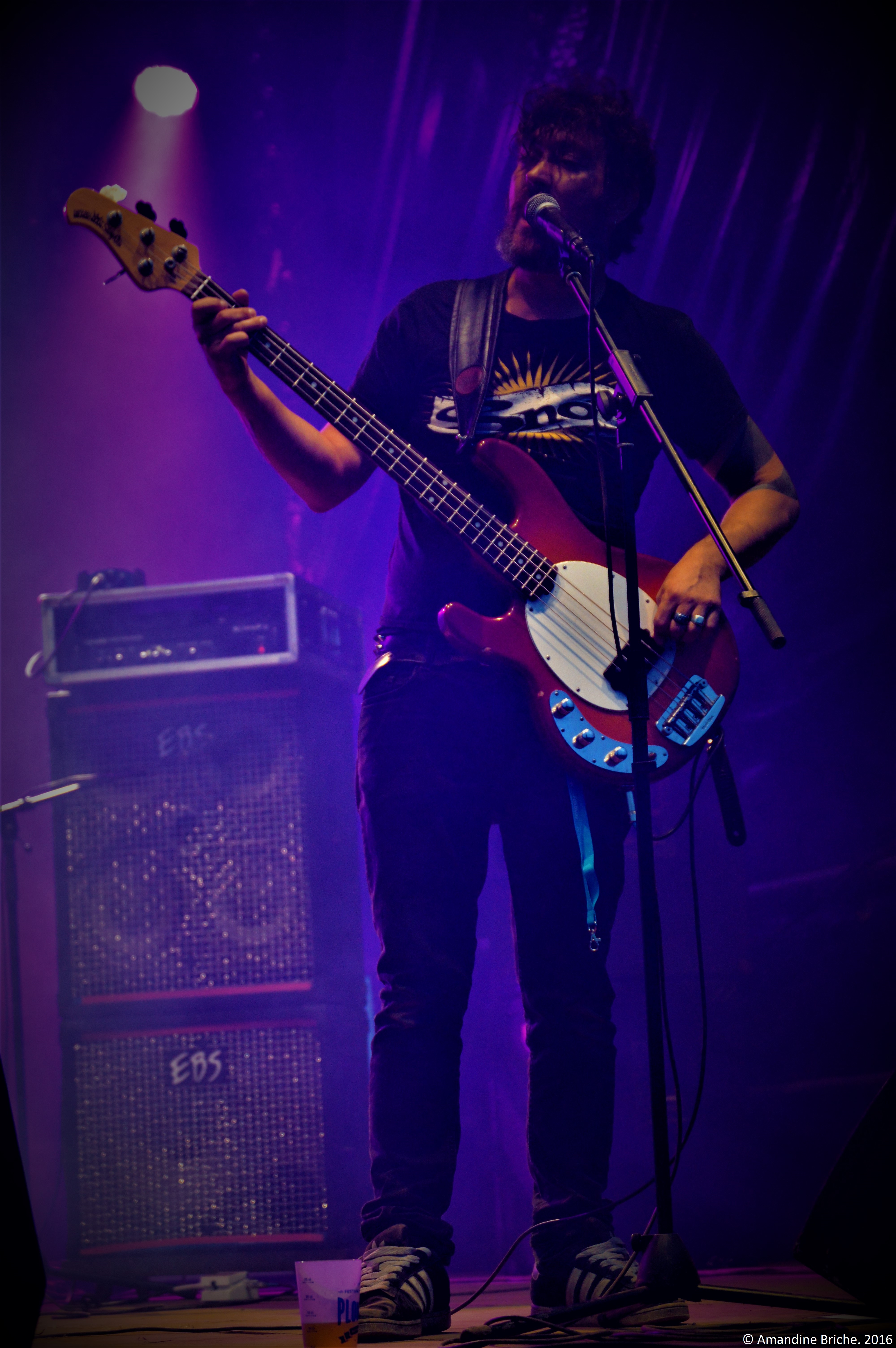 Bukowski au Plougarock 2016