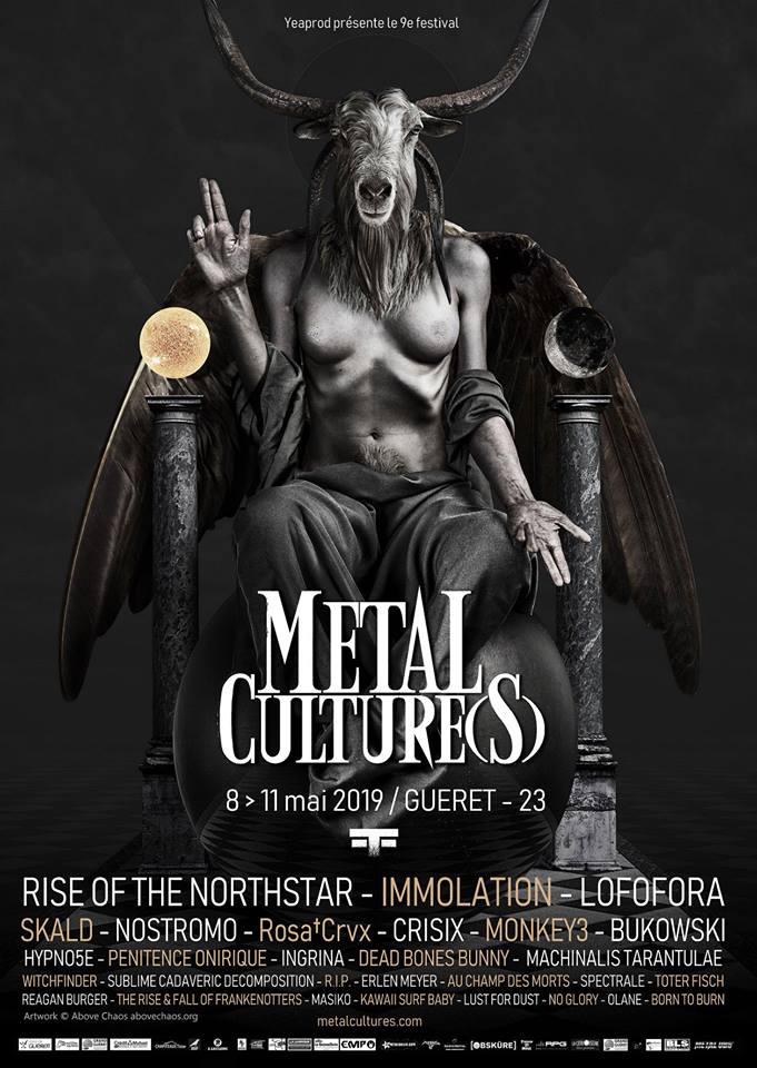 Metal Culture(s) IX