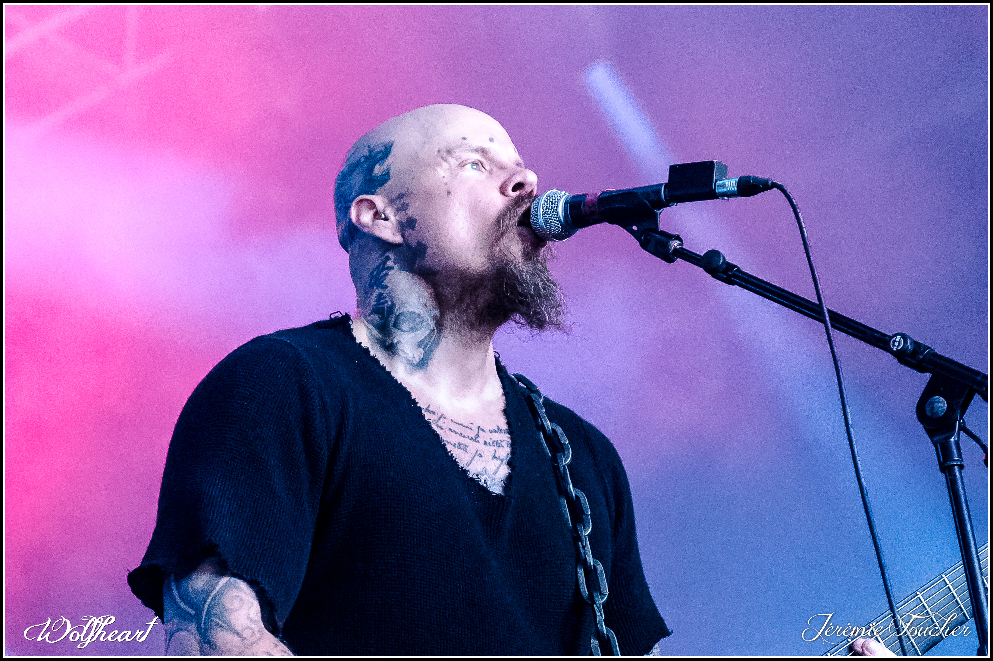 Wolfheart au Hellfest 2019